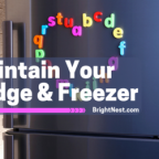 Maintain Your Fridge and Freezer